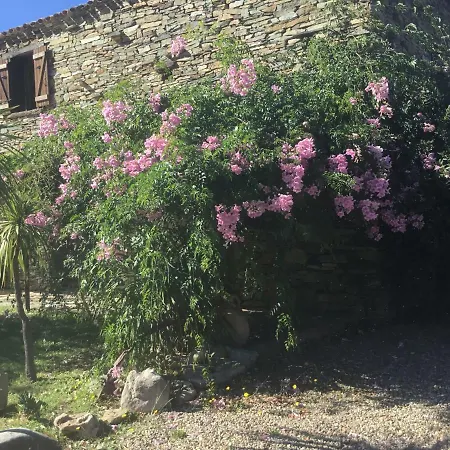 A Stalla Doro